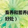 畜养和蓄养的区别（畜养是什么意思 有什么好处）