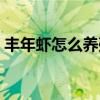 丰年虾怎么养殖和繁殖（喂丰年虾卵的风险）