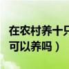 在农村养十只波尔山羊活不了（波尔山羊南方可以养吗）