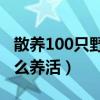 散养100只野兔需要多少资金（小野兔幼崽怎么养活）