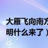 大雁飞向南方可以比作什么（大雁飞向南方说明什么来了）