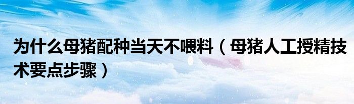 为什么母猪配种当天不喂料（母猪人工授精技术要点步骤）