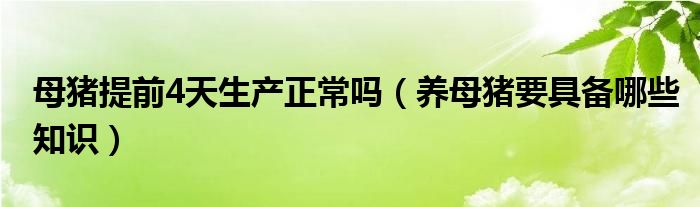 母猪提前4天生产正常吗（养母猪要具备哪些知识）