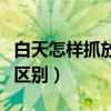 白天怎样抓放养的鸡（放养鸡和圈养鸡有什么区别）