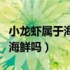 小龙虾属于海鲜吗痛风可以吃吗（小龙虾属于海鲜吗）