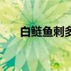 白鲢鱼刺多吗（与花鲢鱼有什么区别）