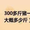 300多斤猪一只后腿大概多少斤（一条猪后腿大概多少斤）