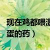 现在鸡都喂激素下的鸡蛋敢吃吗（防止鸡吃鸡蛋的药）