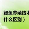 鳗鱼养殖技术与管理（养殖鳗鱼与野生鳗鱼有什么区别）