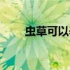 虫草可以养殖吗（虫草可以养殖吗）