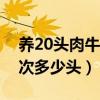 养20头肉牛需什么规格的场地（肉牛繁殖一次多少头）