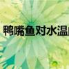 鸭嘴鱼对水温的要求（鸭嘴鱼对温度的要求）