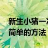 新生小猪一次喝多少毫升奶粉 吃多了拉稀最简单的方法