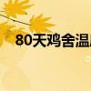 80天鸡舍温度多少（80天鸡舍温度多少）