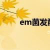 em菌发酵成功标准（可保存多久）