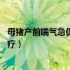 母猪产前喘气急促什么原因（便秘不吃食怎么办 水肿怎么治疗）