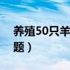 养殖50只羊利润多少（养羊需要注意哪些问题）