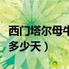 西门塔尔母牛产犊最晚多少天（母牛下犊最晚多少天）