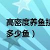 高密度养鱼技术养鱼池怎样建造（一立方米养多少鱼）