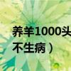 养羊1000头一年能赚多少（怎样养羊长得快不生病）