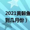 2021黄颡鱼高价会在几月份（黄颡鱼可以钓到几月份）