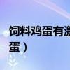 饲料鸡蛋有激素吗（怎么区分土鸡蛋和饲料鸡蛋）