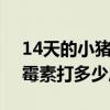 14天的小猪做圆环多少毫升（160万单位青霉素打多少斤猪）