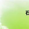 石斑鱼池塘养殖技术