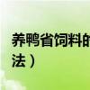 养鸭省饲料的十个方法（养鸭省饲料的十个方法）