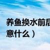 养鱼换水前后需要注意什么（养鱼换水需要注意什么）