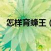 怎样育蜂王（一箱只有一个蜂王怎样分箱）