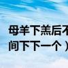 母羊下羔后不吃食怎么回事（下羔间隔多长时间下下一个）