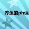 养鱼的ph值怎么测（养鱼ph值怎么测试）