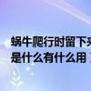 蜗牛爬行时留下来的痕迹有什么用（蜗牛爬行后留下的液体是什么有什么用）