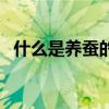 什么是养蚕的季节（养蚕在什么季节合适）