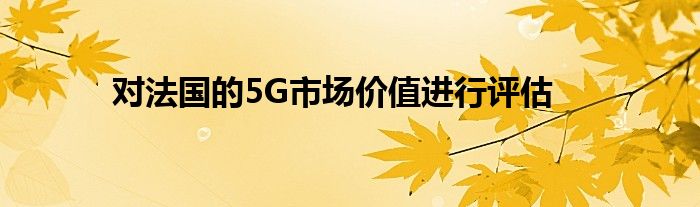 对法国的5G市场价值进行评估