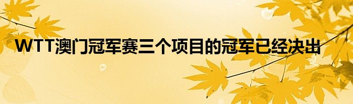 WTT澳门冠军赛三个项目的冠军已经决出