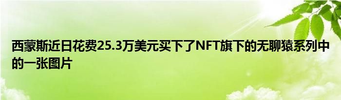 西蒙斯近日花费25.3万美元买下了NFT旗下的无聊猿系列中的一张图片