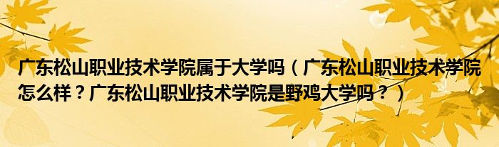 广东松山职业技术学院属于大学吗（广东松山职业技术学院怎么样？广东松山职业技术学院是野鸡大学吗？）