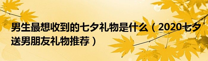 男生最想收到的七夕礼物是什么（2020七夕送男朋友礼物推荐）