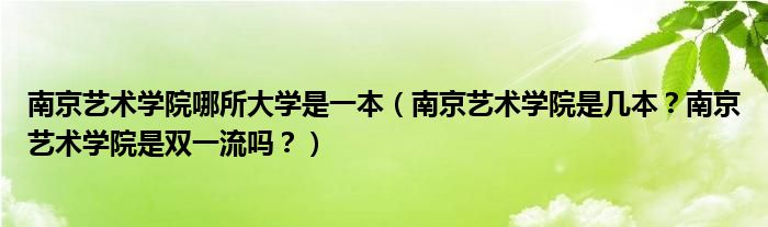 南京艺术学院哪所大学是一本（南京艺术学院是几本？南京艺术学院是双一流吗？）