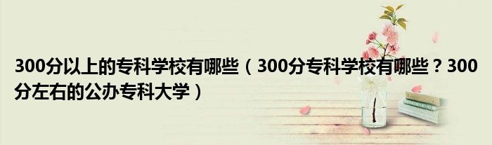 300分以上的专科学校有哪些（300分专科学校有哪些？300分左右的公办专科大学）