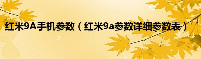 红米9A手机参数（红米9a参数详细参数表）