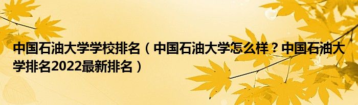 中国石油大学学校排名（中国石油大学怎么样？中国石油大学排名2022最新排名）