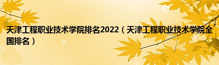 天津工程职业技术学院排名2022（天津工程职业技术学院全国排名）