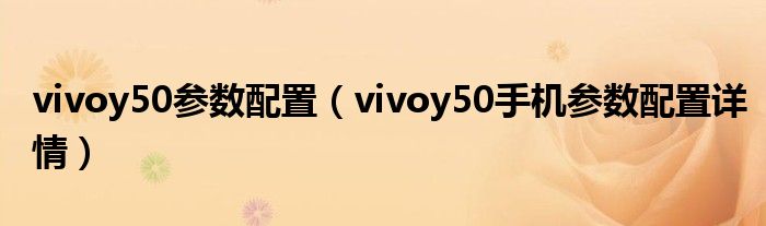 vivoy50参数配置（vivoy50手机参数配置详情）