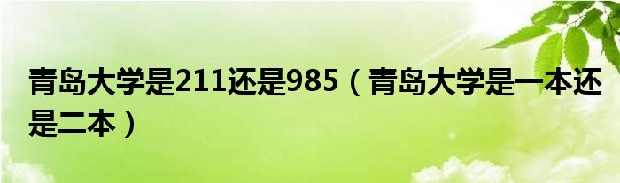 青岛大学是211还是985（青岛大学是一本还是二本）