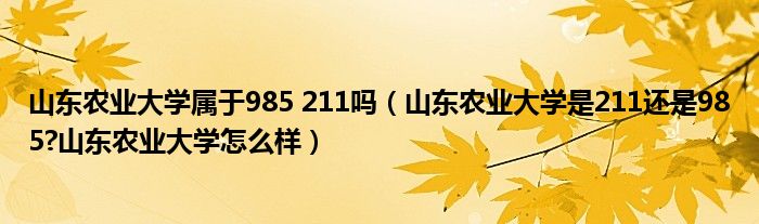 山东农业大学属于985 211吗（山东农业大学是211还是985?山东农业大学怎么样）