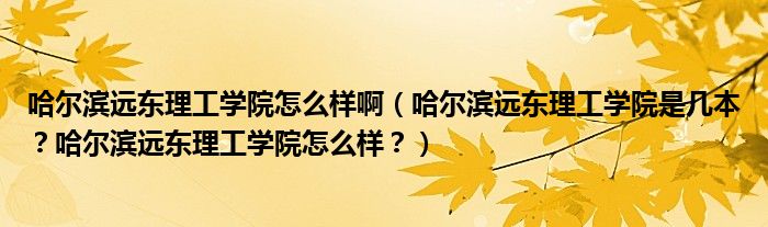 哈尔滨远东理工学院怎么样啊（哈尔滨远东理工学院是几本？哈尔滨远东理工学院怎么样？）