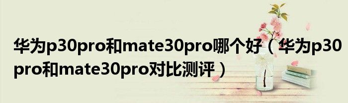 华为p30pro和mate30pro哪个好（华为p30pro和mate30pro对比测评）